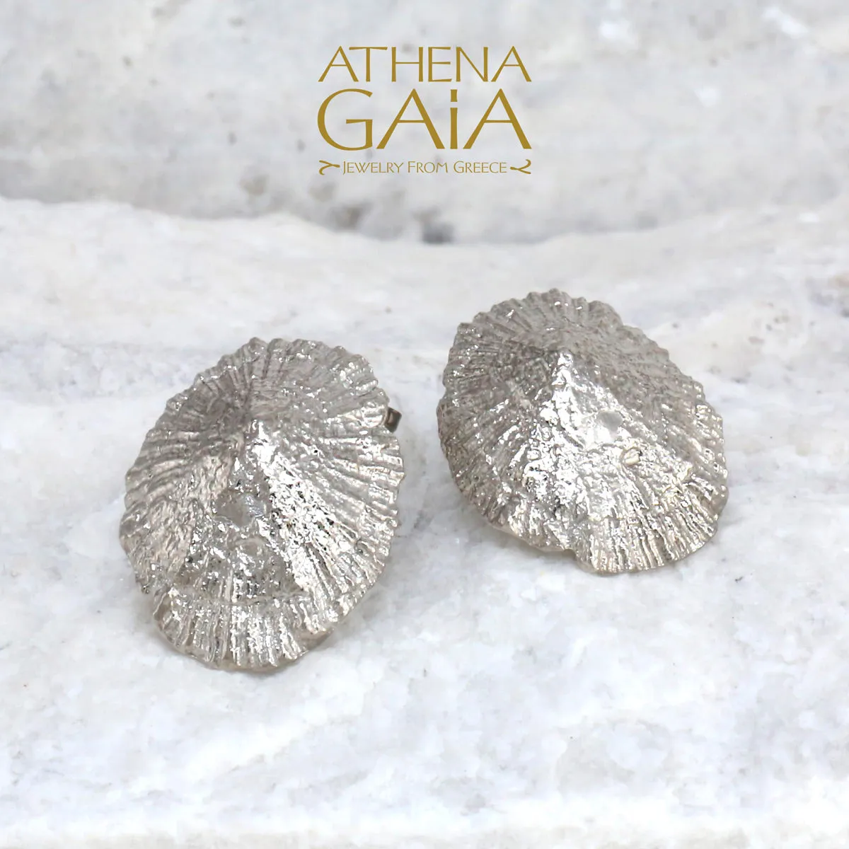 Seashell Post Earrings