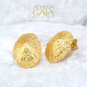 Seashell Post Earrings