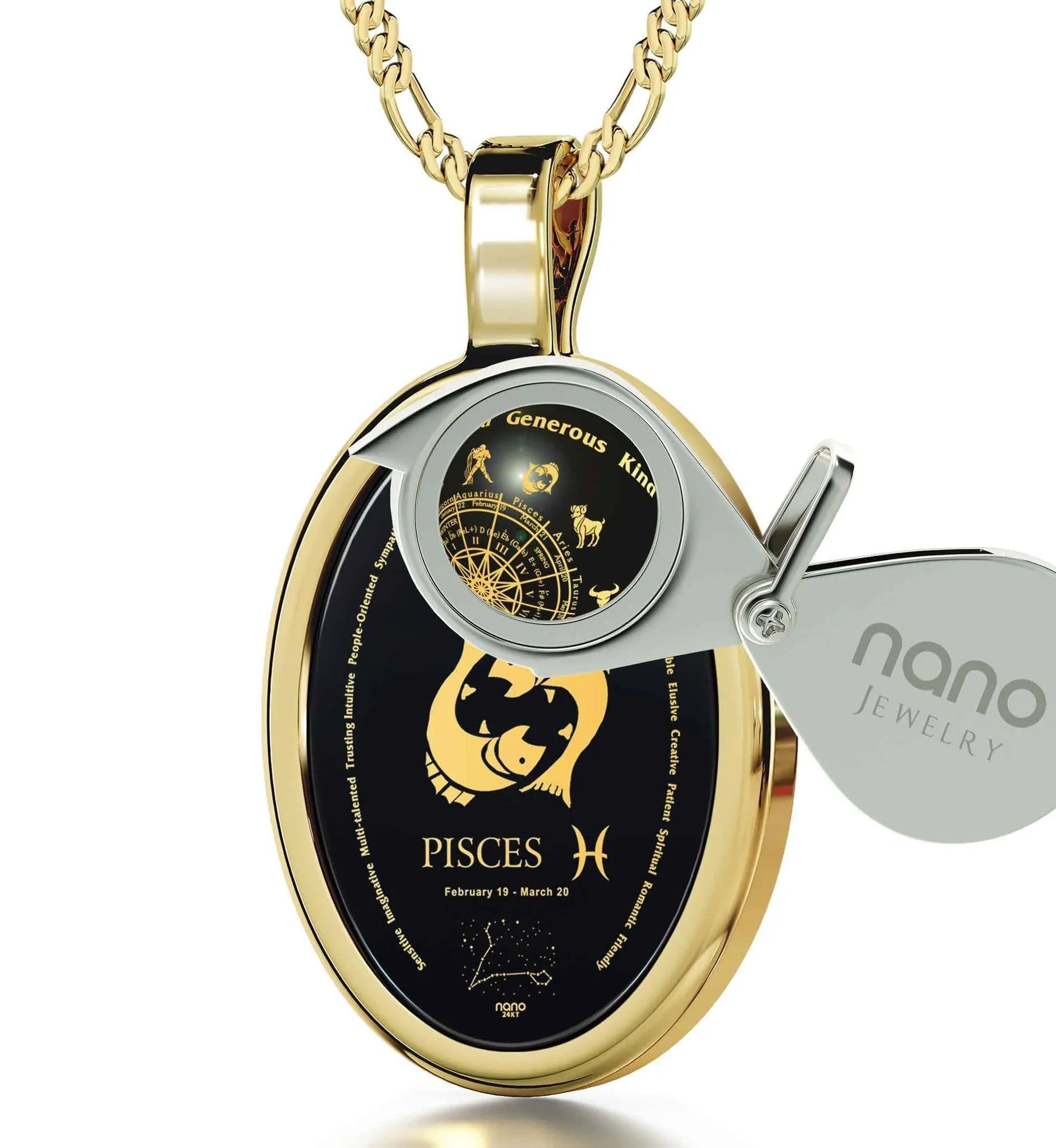 The World of Pisces, 14k Gold Necklace, Onyx
